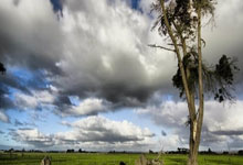 法国球员姆巴佩荣获欧洲金球奖，个人全面实力受肯定