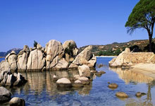 福建外援出色表现：帕森斯砍下40+助球队击败江苏