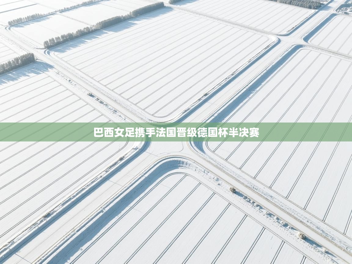 巴西女足携手法国晋级德国杯半决赛