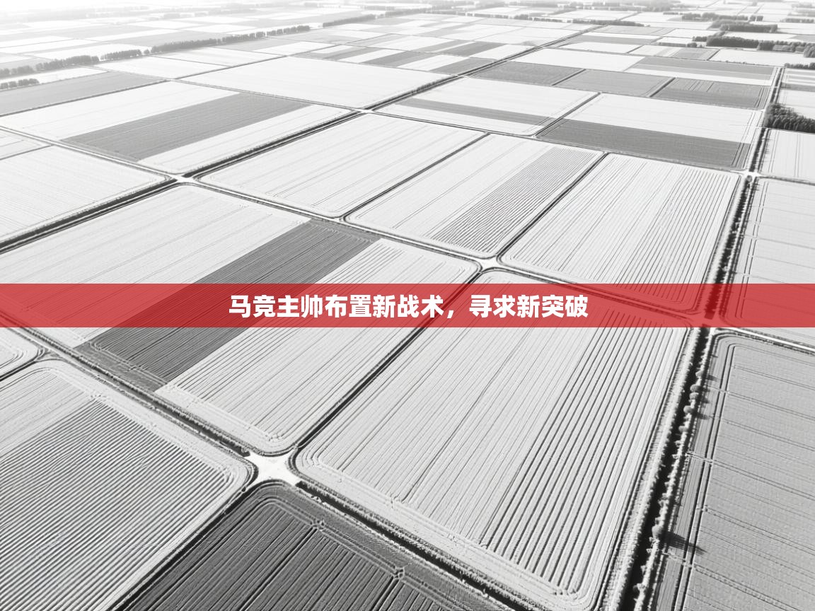 马竞主帅布置新战术，寻求新突破  第2张