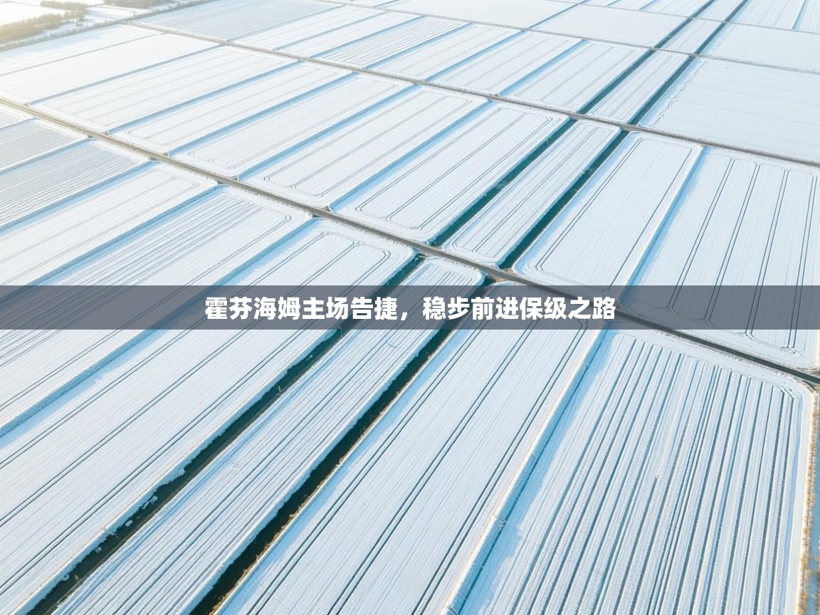 霍芬海姆主场告捷,稳步前进保级之路 第2张