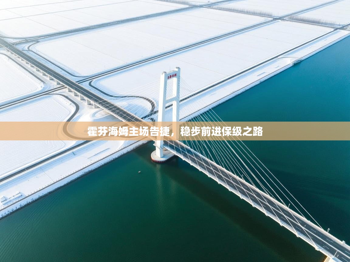 霍芬海姆主场告捷，稳步前进保级之路