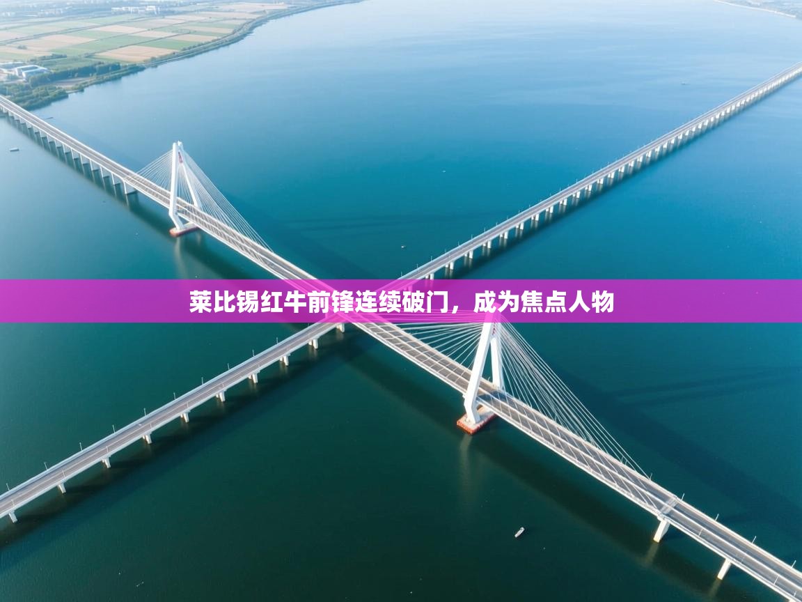 莱比锡红牛前锋连续破门,成为焦点人物 第2张